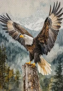 Diamantové malování Norimpex 40x30 cm Orel s roztaženými křídly