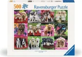 puzzle-ravensburger-500-dilku-stenata-238394.jpg