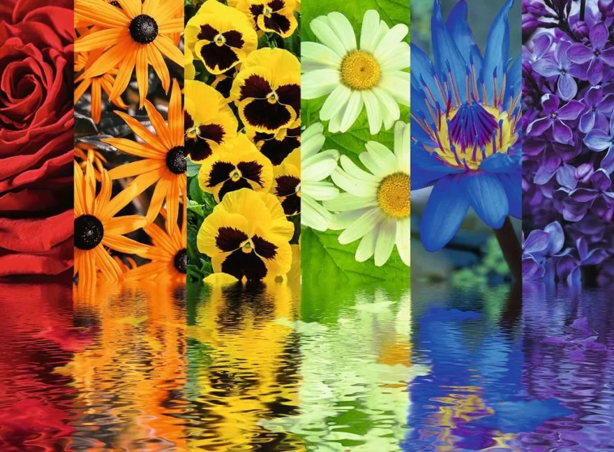 Puzzle Ravensburger 500 dílků Květinové odrazy