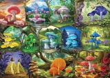 puzzle-ravensburger-1000-dilku-krasne-houby-238826.jpg