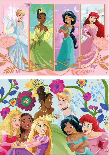 puzzle-pro-deti-clementoni-2x60-dilku-disney-princezny-2v1-239326.jpg