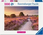 Puzzle Ravensburger 1000 dílků Krásné cestičky: Růžová stezka, Nizozemsko