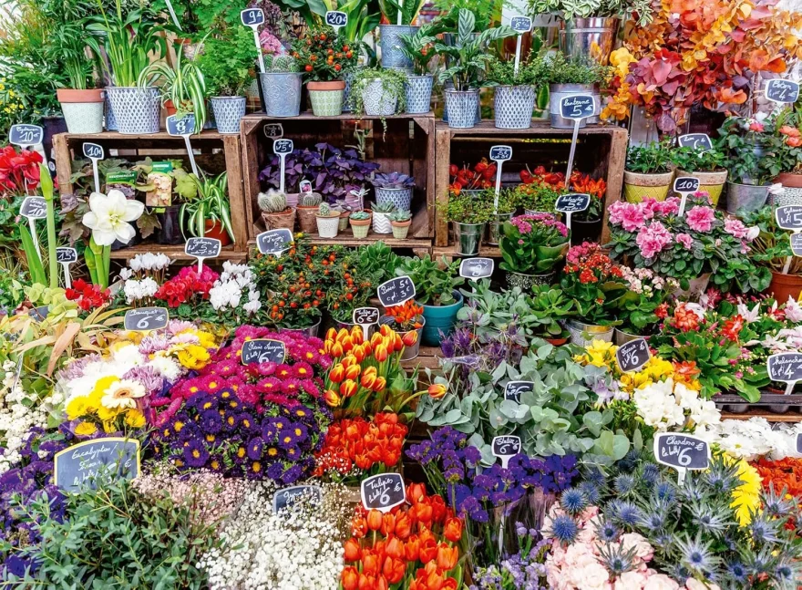 Puzzle Ravensburger 500 dílků Barevná tržiště: Trh s květinami, Francie