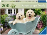 Puzzle Ravensburger 200 dílků XL Zlatí retrívři