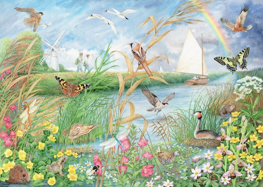 puzzle-ravensburger-1000-dilku-narodni-park-norfolk-broads-242353.jpg