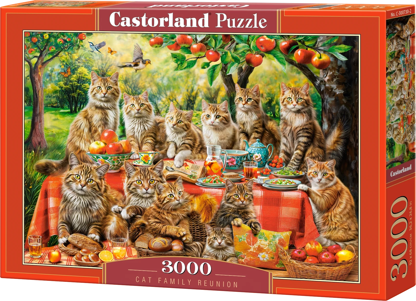 Puzzle Setkání kočičí rodiny 3000 dílků