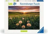 Puzzle Ravensburger 500 dílků Síla přírody: Pampelišky v západu slunce