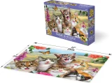 Puzzle s 3D efektem Prime 3D 100 dílků Kočičí selfie
