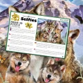 Puzzle s 3D efektem Prime 3D 63 dílků Vlčí selfie