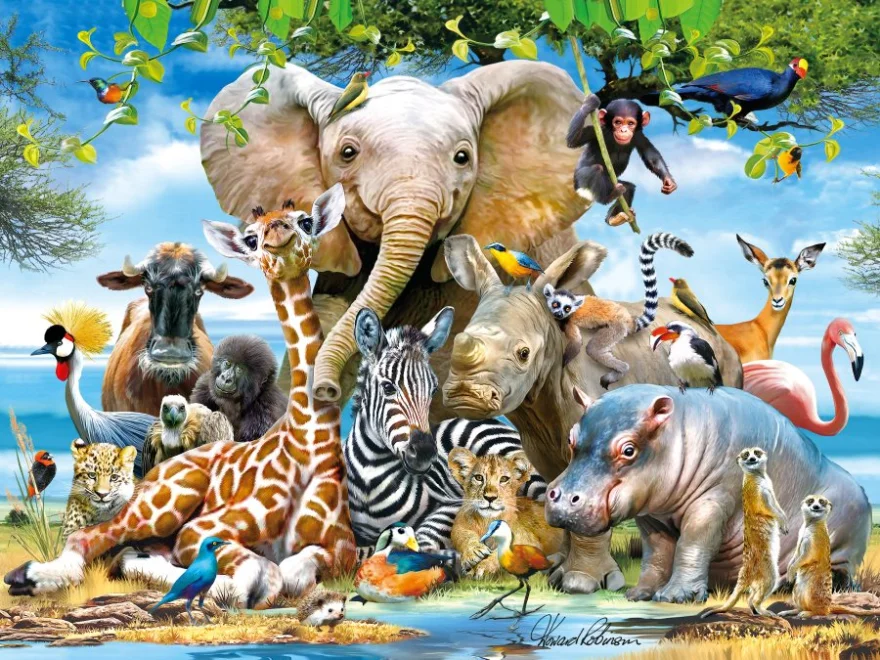 Puzzle s 3D efektem Prime 3D 48 dílků Africký úsměv