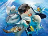 Puzzle s 3D efektem Prime 3D 48 dílků Podmořské selfie