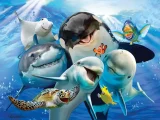 Puzzle s 3D efektem Prime 3D 48 dílků Podmořské selfie