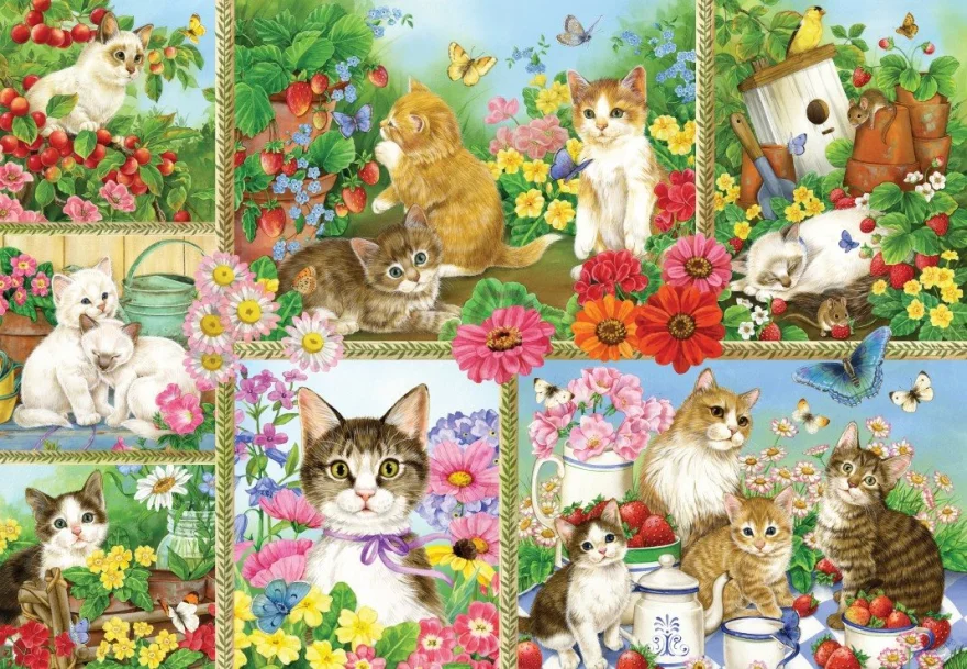 Puzzle Bluebird 1000 dílků Kočky a koťata