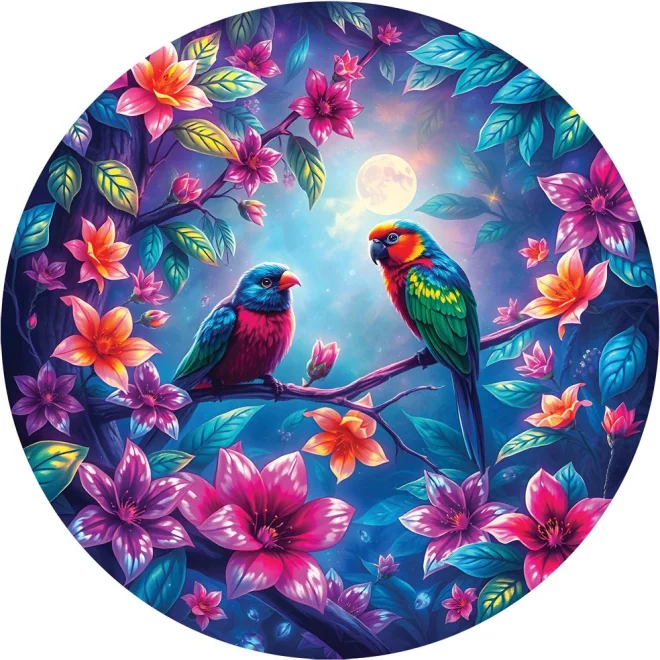 Kulaté puzzle Bluebird 501 dílků Ptáci na větvi