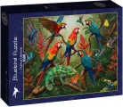 Puzzle Bluebird 1000 dílků Tropická harmonie