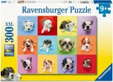 Puzzle pro děti Ravensburger 300 dílků XXL Vykukující štěňátka