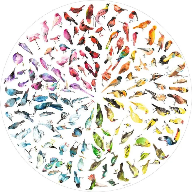 Kulaté puzzle Ravensburger 500 dílků Circle of Colors: Ptáci - UK Nationals 2026