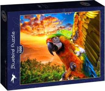 Puzzle Bluebird 1000 dílků Papoušek