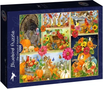 Puzzle Bluebird 1000 dílků Barvy podzimu