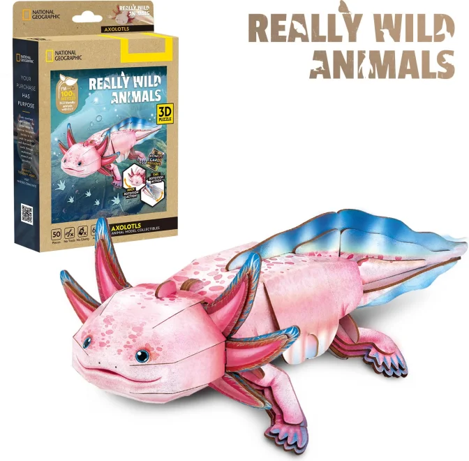 3D puzzle CubicFun Really Wild Animals Axolotl 50 dílků