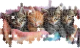 Puzzle Lisciani 500 dílků Pohodlí pro koťátka