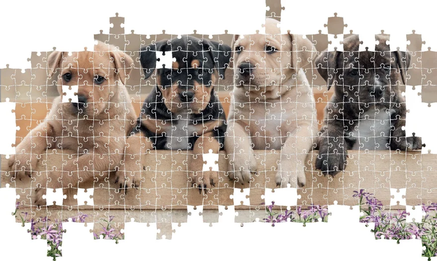 Puzzle Lisciani 500 dílků Roztomilá štěňata