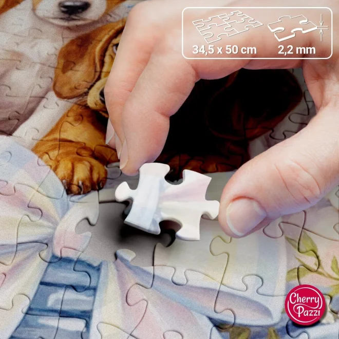 Puzzle Cherry Pazzi 300 dílků Milá pětka