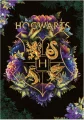 Puzzle Dodo 1000 dílků Harry Potter: Skvělé vyhlídky