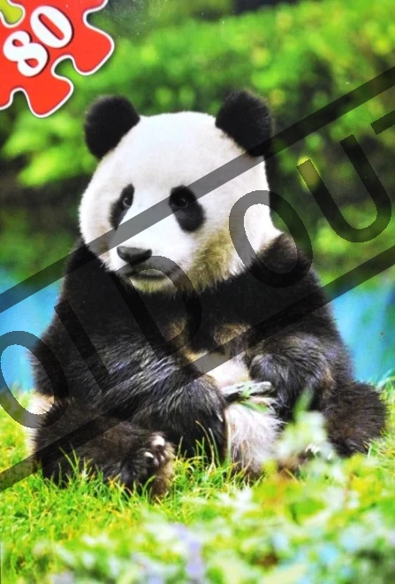 CASTORLAND Panda