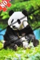 CASTORLAND Panda