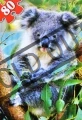 CASTORLAND Medvídek koala