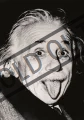 DINO Puzzle Albert Einstein 500 dílků
