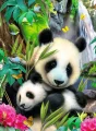 RAVENSBURGER Puzzle Nádherná panda 300 dílků