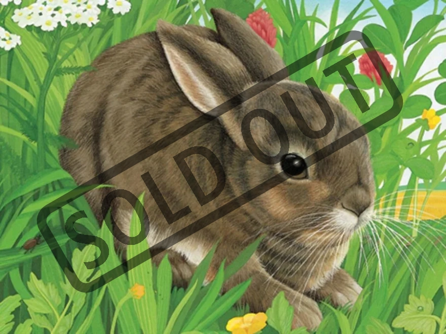 RAVENSBURGER Obrázkové kostky Domácí zvířata, 12 kostek