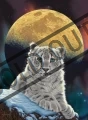 RAVENSBURGER Puzzle Měsíční leopard 500 dílků