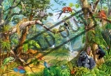 CASTORLAND Puzzle Život ukrytý v džungli 2000 dílků