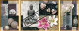 RAVENSBURGER Puzzle Triptych: Harmonie wellness 1000 dílků