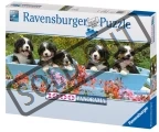 RAVENSBURGER Panoramatické puzzle Bernský salašnický pes - štěňata 1000 dílků