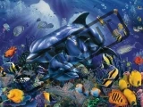RAVENSBURGER Puzzle Barvy korálového útesu 500 dílků