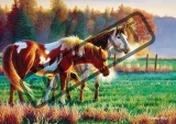TREFL Puzzle Koně v chladném ránu 1000 dílků
