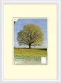 BFHM Plastový rám na puzzle 100x40cm - bílý