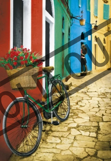EDUCA Puzzle První láska 500 dílků
