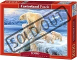 CASTORLAND Puzzle Ledové království 1000 dílků