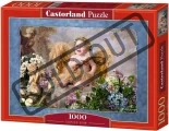 CASTORLAND Puzzle Amorův luk 1000 dílků