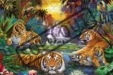 RAVENSBURGER Puzzle Tygři u zdroje vody 3000 dílků