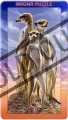 PIATNIK Magna 3D puzzle: Surikaty 32 dílků