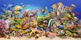 CASTORLAND Puzzle Podmořský život 4000 dílků